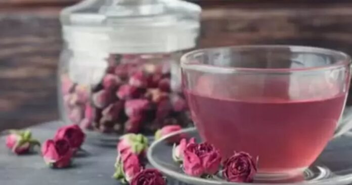 Rose Tea For Weight Loss: বাসি গোলাপের পাঁপড়ি দিয়ে বানিয়ে ফেলুন স্বাস্থ্যকর চা! সহজেই কমবে ওজন,জানুন সঠিক উপায়